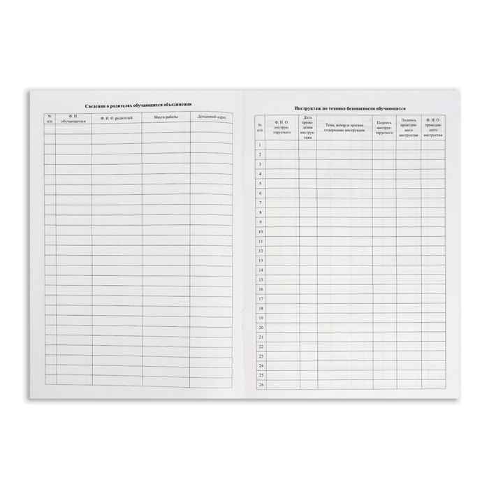 Журнал учета внеурочной деятельности в образовательной организации А4, 32 листа