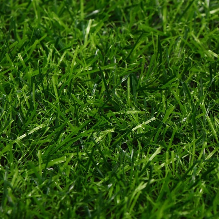 Газон искусственный, ворс 20 мм, 2 &times; 10 м, зелёный, Greengo