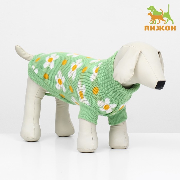 Свитер Свитер "Ромашки", размер M (ДС 30, ОШ 27, ОГ 40 см), зелёный