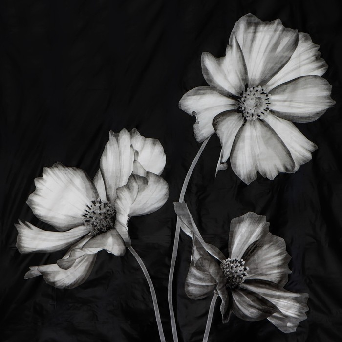 Штора для ванны Доляна &laquo;Герберы&raquo;, 180&times;180 см, EVA