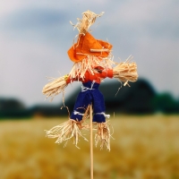 Огородное пугало &laquo;Тыква&raquo;, h = 50 см, МИКС, Greengo