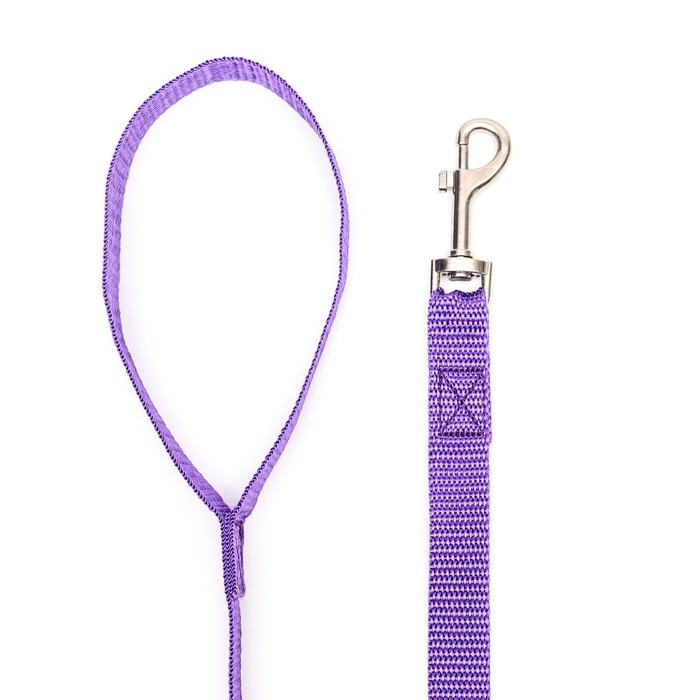 Поводок капроновый цветной Зооник, 2 м х 2 см, микс цветов Поводок капроновый цветной Зооник, 2 м х 2 см, микс цветов