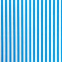 Бумага силиконизированная &laquo;Полоски&raquo;, голубые, для выпечки, 0,38 х 5 м