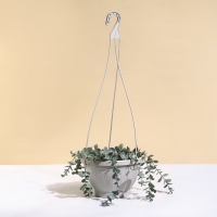 Кашпо подвесное, 2 л, пластик, бежевое Кашпо подвесное, 2 л, пластик, бежевое