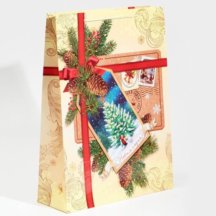 Пакет подарочный новогодний ламинированный &laquo;С Новым годом!&raquo;, L 28 х 38 х 9 см