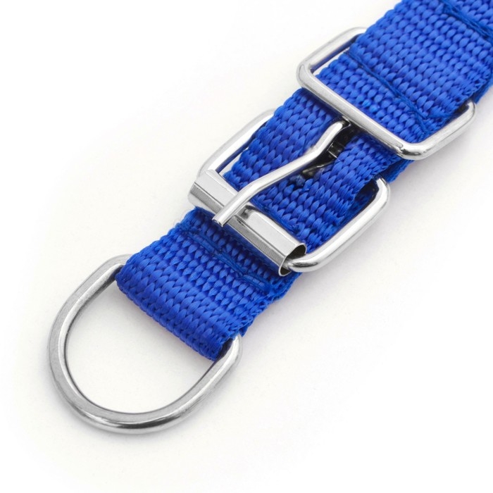 Ошейник "Комфорт" комбинированный (полиэстер, искусств. кожа), 45 х 2 см, ОШ 30-39 см, синий