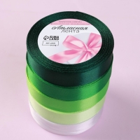 Набор атласных лент, 5 шт, размер 1 ленты: 20 мм &times; 23 &plusmn; 1 м, цвет зелёный спектр