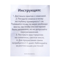 Набор для опытов &laquo;Выращиваем травку&raquo;, зайка