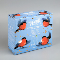 Гирлянда &laquo;Бахрома&raquo; 2.4 &times; 0.9 м с насадками &laquo;Снежинки&raquo;, IP20, прозрачная нить, 150 LED, свечение мульти, 8 режимов, 220 В