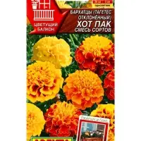 Семена цветов Бархатцы Хот пак, смесь сортов  Цветущий балкон, Ц/П,5 шт.