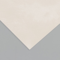 Лист для творчества иск.кожа "Масло. Матовый" белый лист 33х20 см толщина 0,74 мм
