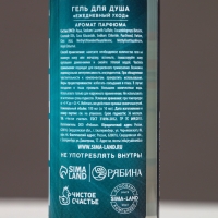 Набор "Новых побед", мини гель для душа и мочалка