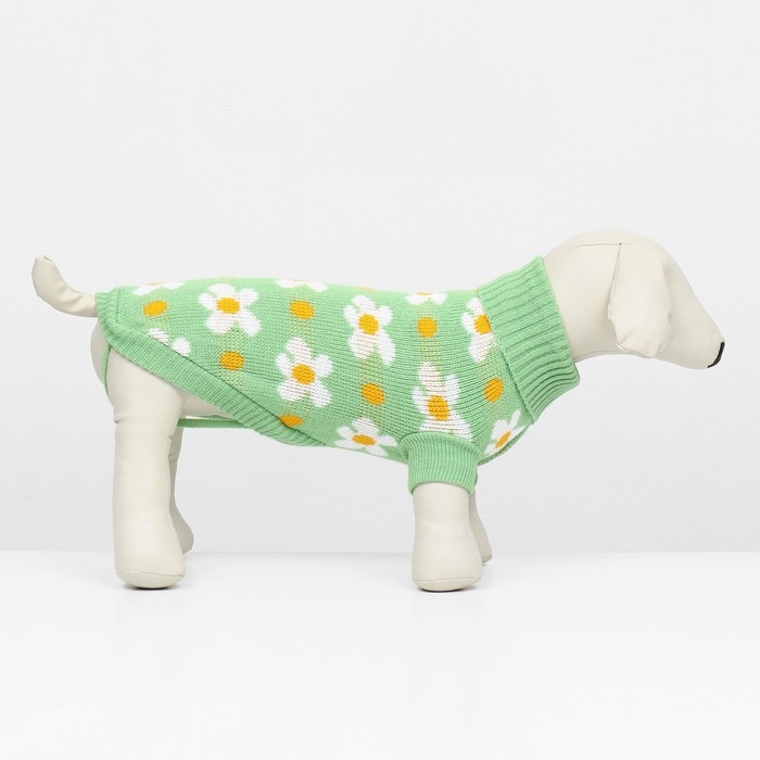 Свитер Свитер "Ромашки", размер XS (ДС 20, ОШ 21, ОГ 30 см), зелёный