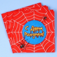 Набор для праздника &laquo;С днём рождения. Паутина&raquo;