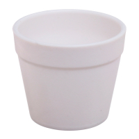 Набор для опытов &laquo;Новогодний флорариум&raquo;