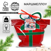 Новый год! Маршмеллоу в пакете с шильдиком &laquo;Вкусный подарок&raquo;, со вкусом пломбира, 40 г