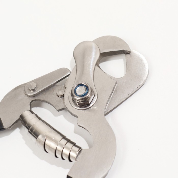 Когтерез-секатор с широкой прорезиненной ручкой, 14 х 7 х 1,9 см, эконом, микс цветов