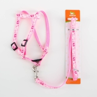 Комплект "Цветные следы", ширина 1 см, поводок 120 см, шлейка 23-35 см, розовый Комплект "Цветные следы", ширина 1 см, поводок 120 см, шлейка 23-35 см, розовый