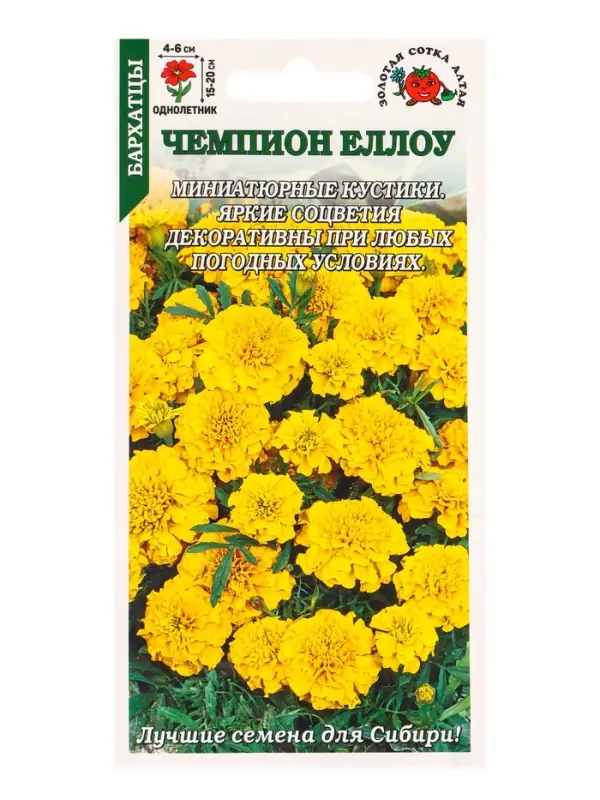 Семена Бархатцы Чемпион йеллоу /Сотка/ 0,2г/ h-15-20см d-4-6см /*1200