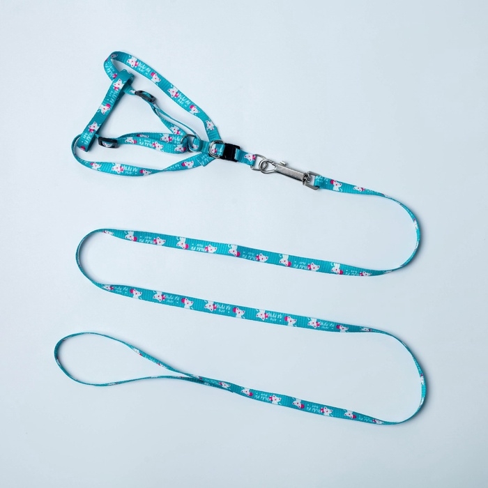 Комплект &laquo;Хочу на ручки&raquo;, шлейка 24-34х1 см, поводок 120 см