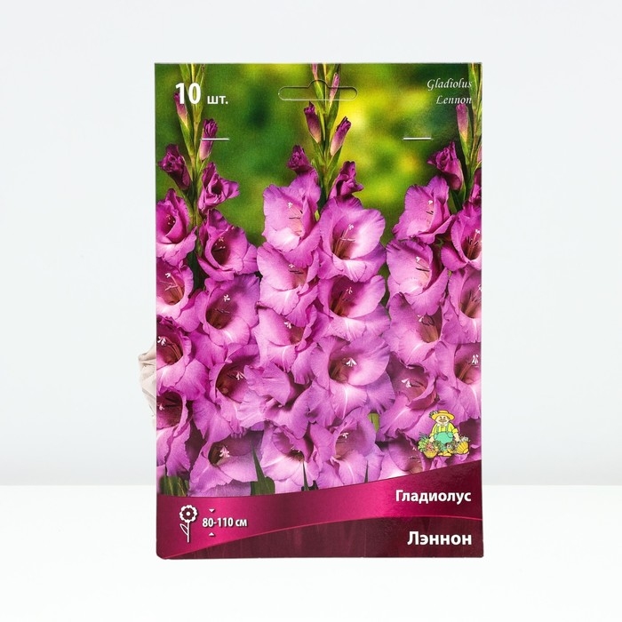 Гладиолус крупноцветковый «Лэннон», луковица цветов в пакете с перфорацией, р-р 10/12, 10 шт. Гладиолус крупноцветковый «Лэннон», луковица цветов в пакете с перфорацией, р-р 10/12, 10 шт.