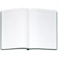 Ежедневник Flexpen Bright, недатированный, зеленый