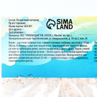 Лилия гибридная &laquo;Олимпик Торч&raquo;, луковица в пакете с перфорацией, р-р 14/16, 2 шт.