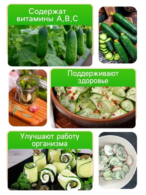 Семена Огурец "Моравский Корнишон", F1, Сем. Алт, ц/п, 0,3 г