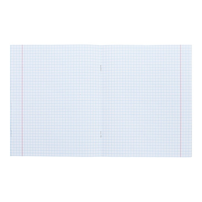 Тетрадь 48 листов в клетку Calligrata TOP "Девушка и лев", обложка мелованный картон, голография, блок офсет, белизна 95%, МИКС