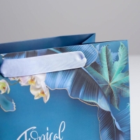 Пакет подарочный ламинированный квадратный, упаковка, &laquo;Magic&raquo;, 22 х 22 х 11 см