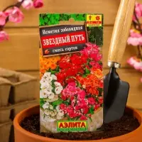 Набор семян Немезия "Звездный путь", смесь окрасок, О, 5 шт.