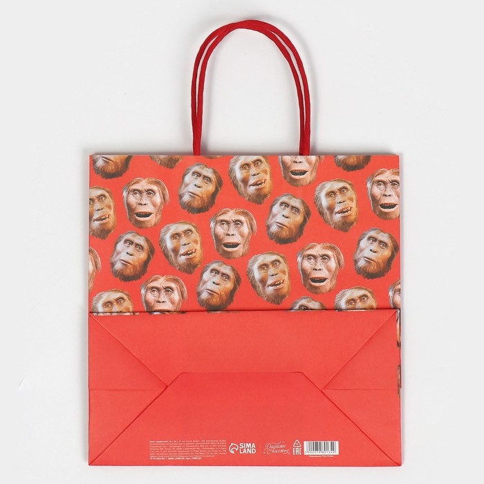 Пакет подарочный, упаковка, &laquo;Обезьяна&raquo;, 22 х 22 х 11 см