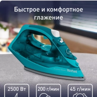 Паровой утюг Express Steam FV2867E0, с автоотключением