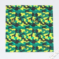 Салфетки бумажные &laquo;Настоящий защитник&raquo;, 25х25 см, набор 20 шт.