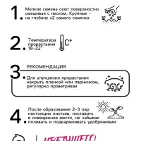 Семена цветов Нивяник "Гигант", крупноцветковый, Ц/П, 0,5 г