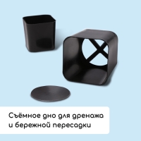 Набор для рассады: стаканы по 700 мл (10 шт.), поддон 44 &times; 18 см, чёрный, Greengo