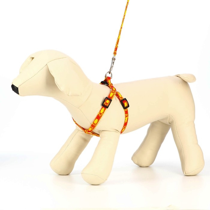 Комплект "Большая лапа", ширина 1 см, поводок  120 см, шлейка 25-36 см, оранжево-жёлтый