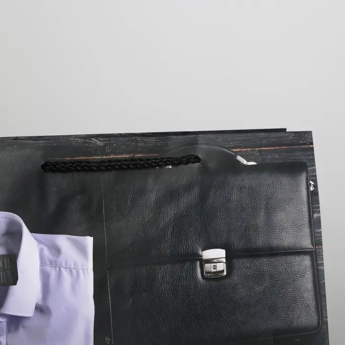 Пакет подарочный ламинированный, упаковка, &laquo;Стиль&raquo;, ML 21 х 25 х 8 см