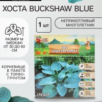 Хоста Buckshaw Blue, корневище в пакете с торфогрунтом, р-р I, размер M,1 шт.