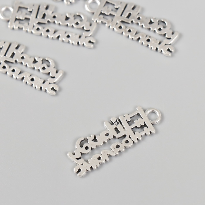 Металлический элемент, декоративная подвеска &laquo;Бухгалтер: Найду баланс&raquo; набор 5 шт 2,7х1 см