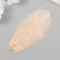 Перо декоративное страуса "Шампанское" h=15-20 см