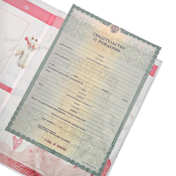 Папка для свидетельства о рождении &laquo;Скетч&raquo;, для девочки, А4