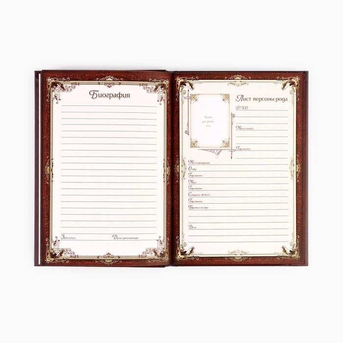 Родословная книга в шкатулке &laquo;Древо семьи&raquo;, 56 листов, 20 х 26 см.