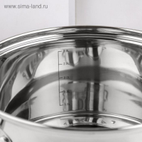 Набор кастрюль &laquo;Элис&raquo;, 3 предмета: 1,8 л, 2,5 л, 3,5 л, стеклянные крышки, индукция