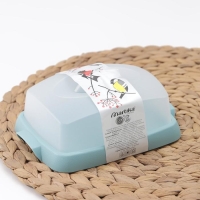 Маслёнка &laquo;Таира&raquo;, пластиковая, 16,5&times;12 см, цвет бирюзовый