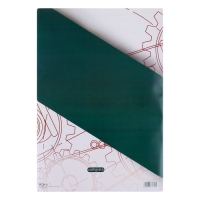 Папка для черчения А3 10 листов Calligrata, 420 х 310 мм, блок 160 м&sup2;