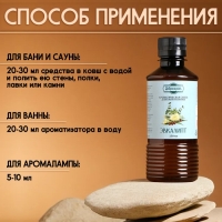 Ароматизатор для бани и ванны &laquo;Эвкалипт&raquo;, натуральная, 250 мл., "Добропаровъ"