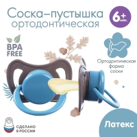 Соска - пустышка латексная ортодонтическая &laquo;Малыш&raquo;, от 6 мес., цвет коричневый/синий