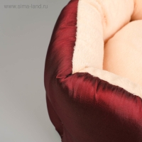 Лежанка для животных "Комфорт" 38 х 25 х 14 см, тафта, микс цветов Лежанка для животных "Комфорт" 38 х 25 х 14 см, тафта, микс цветов