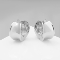 Серьги металл &laquo;Аккорд&raquo; круг вогнутый, цвет серебро